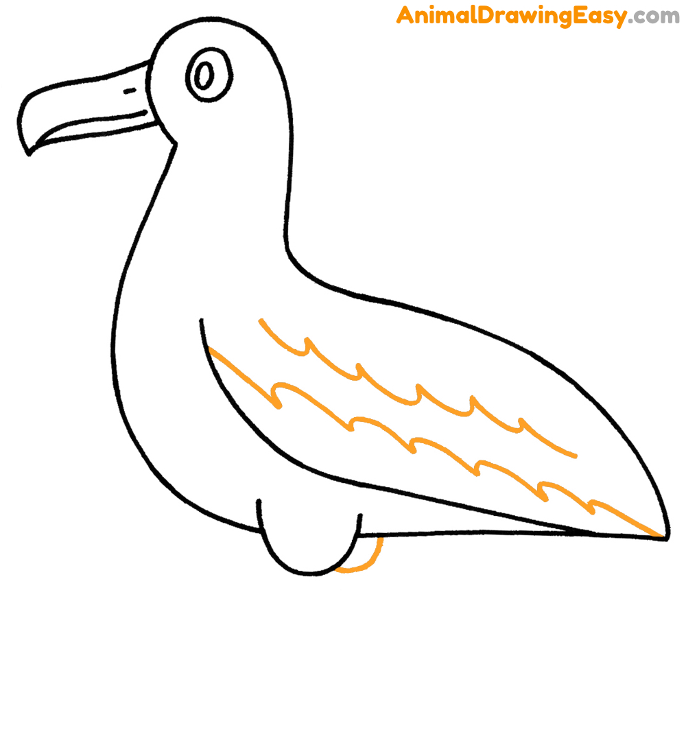 Albatross Drawing Guide