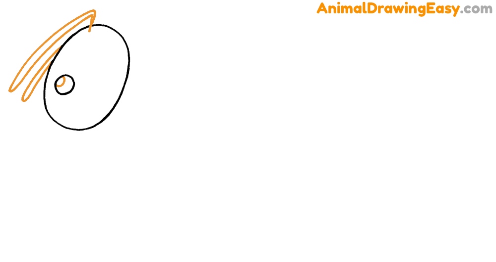Ant Drawing Guide
