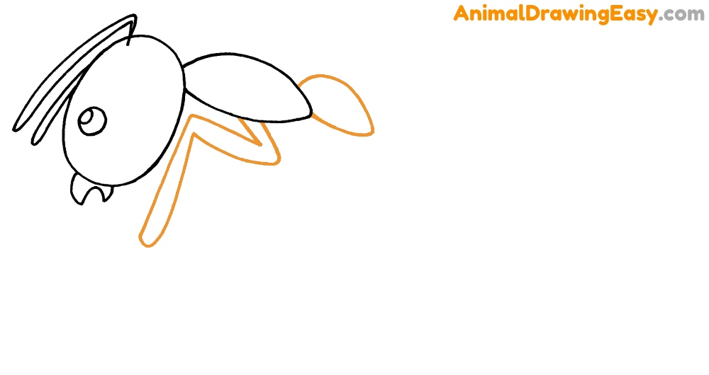 Ant Drawing Tutorial Easy