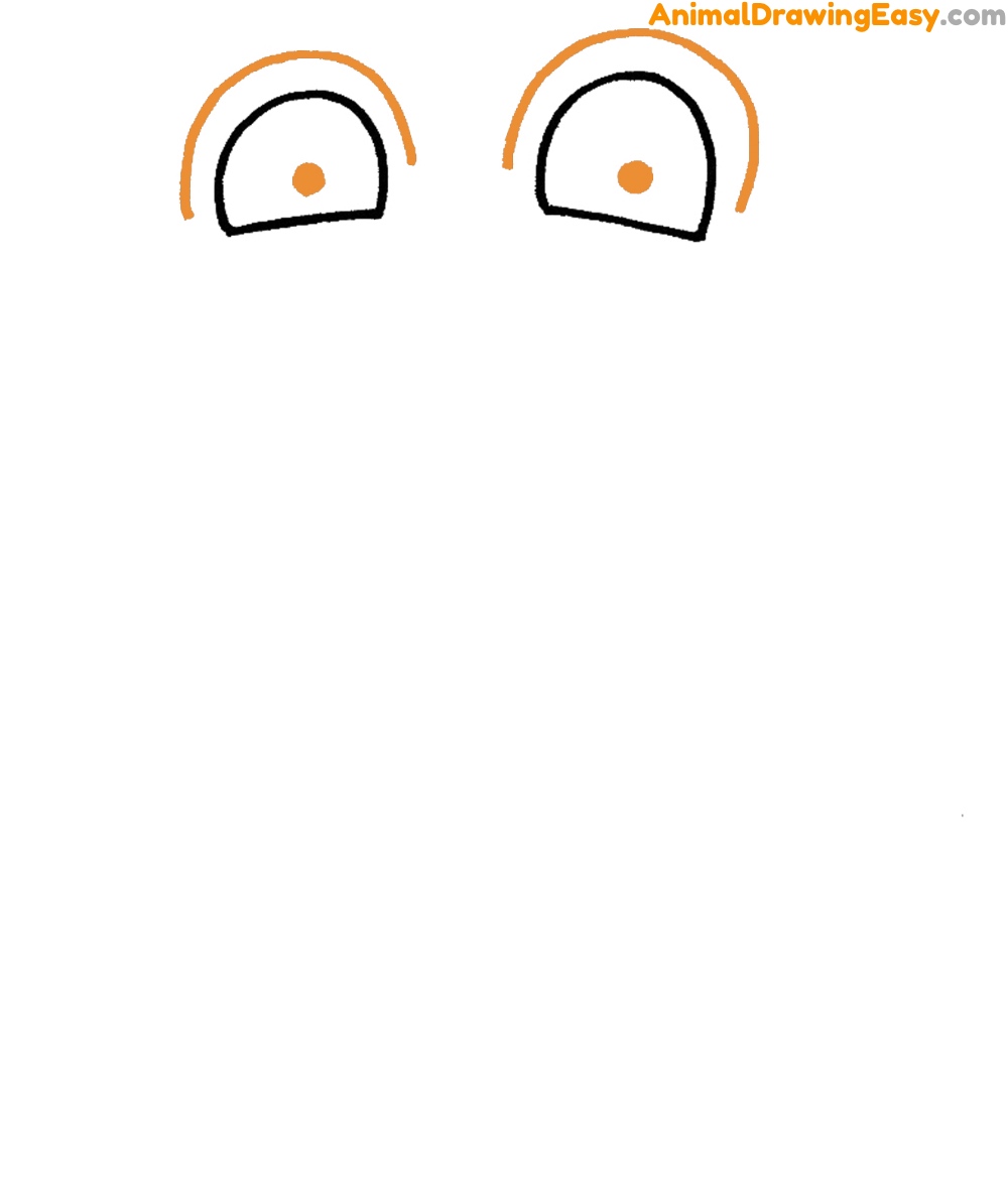 Frog How to Sketch