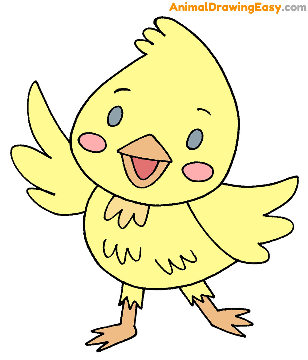 How to Draw a Baby Bird