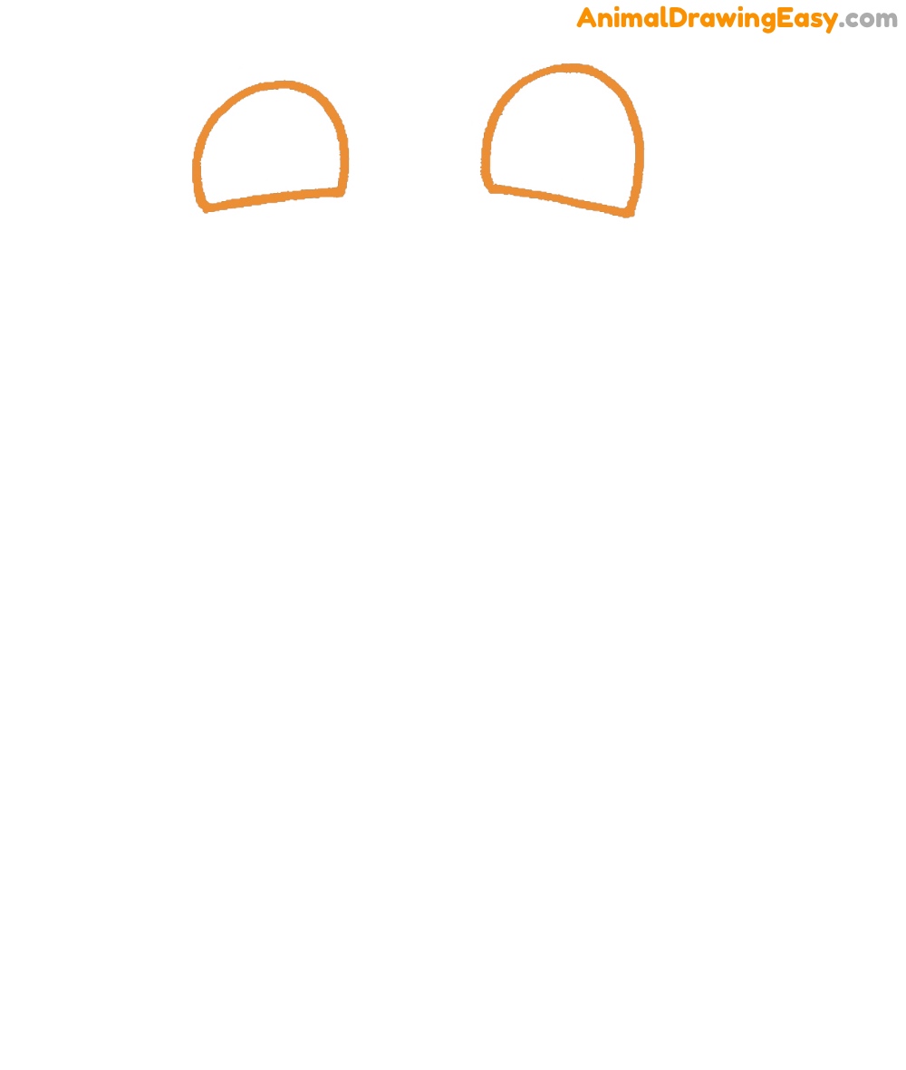 How to Draw a Frog Eyes