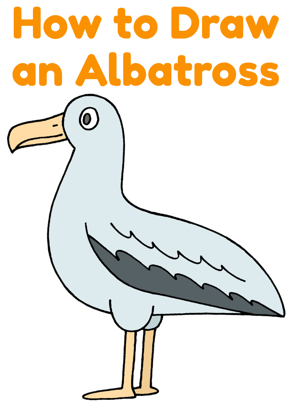 How to Draw an Albatross Easy