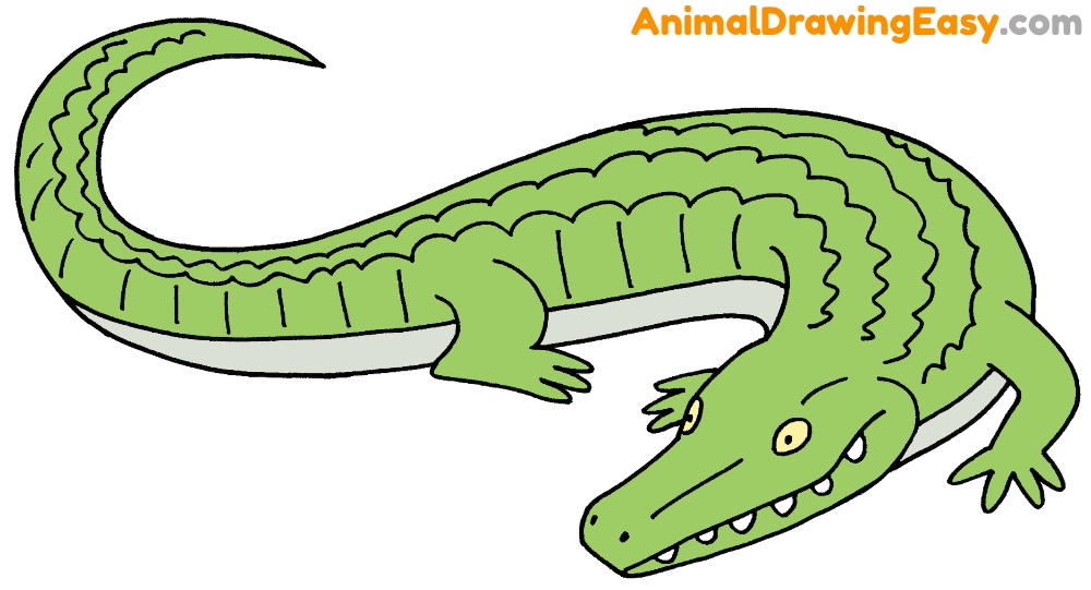 How to Draw an Alligator