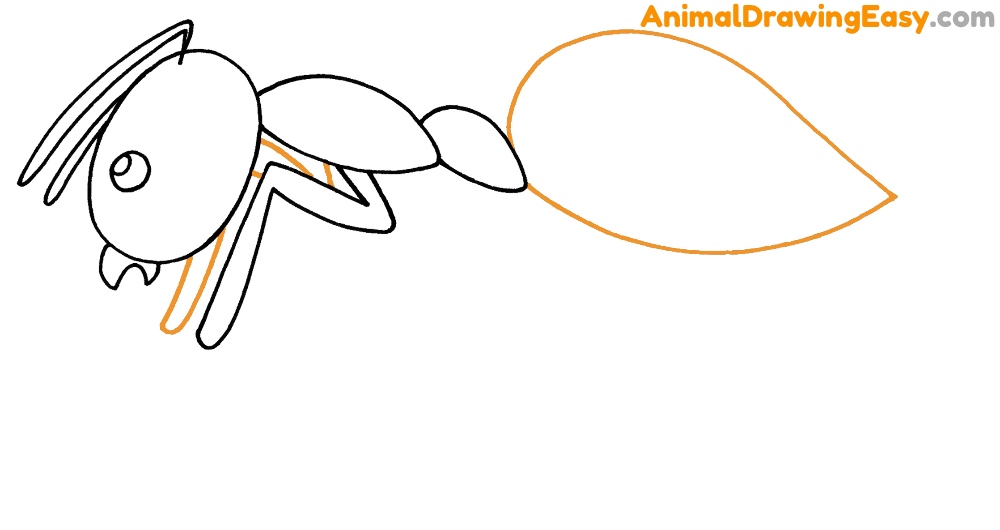 How to Draw an Easy Ant