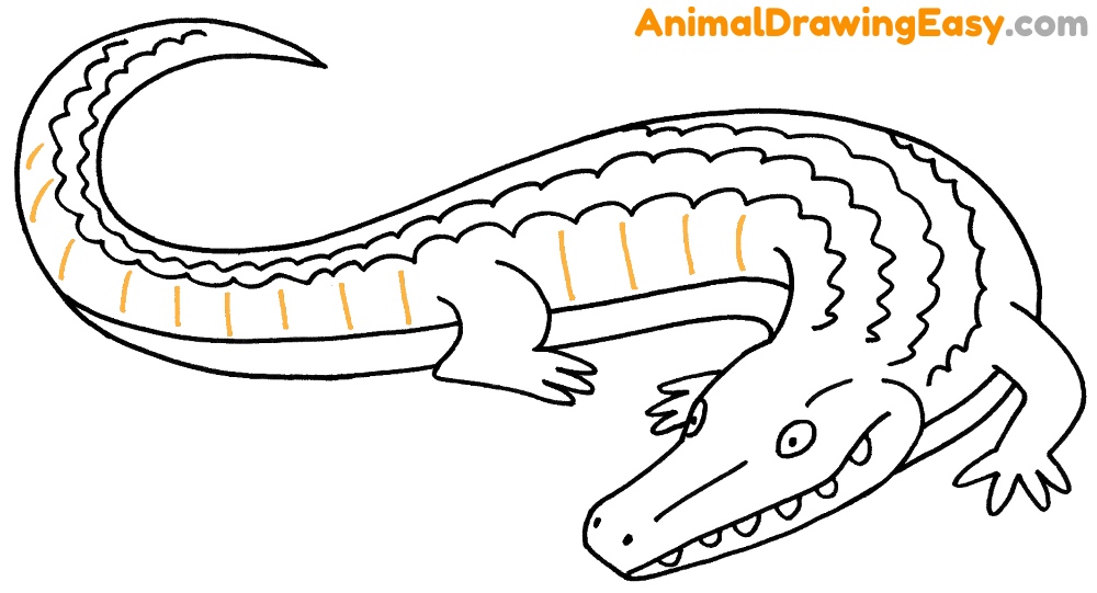 How to Sketch an Alligator