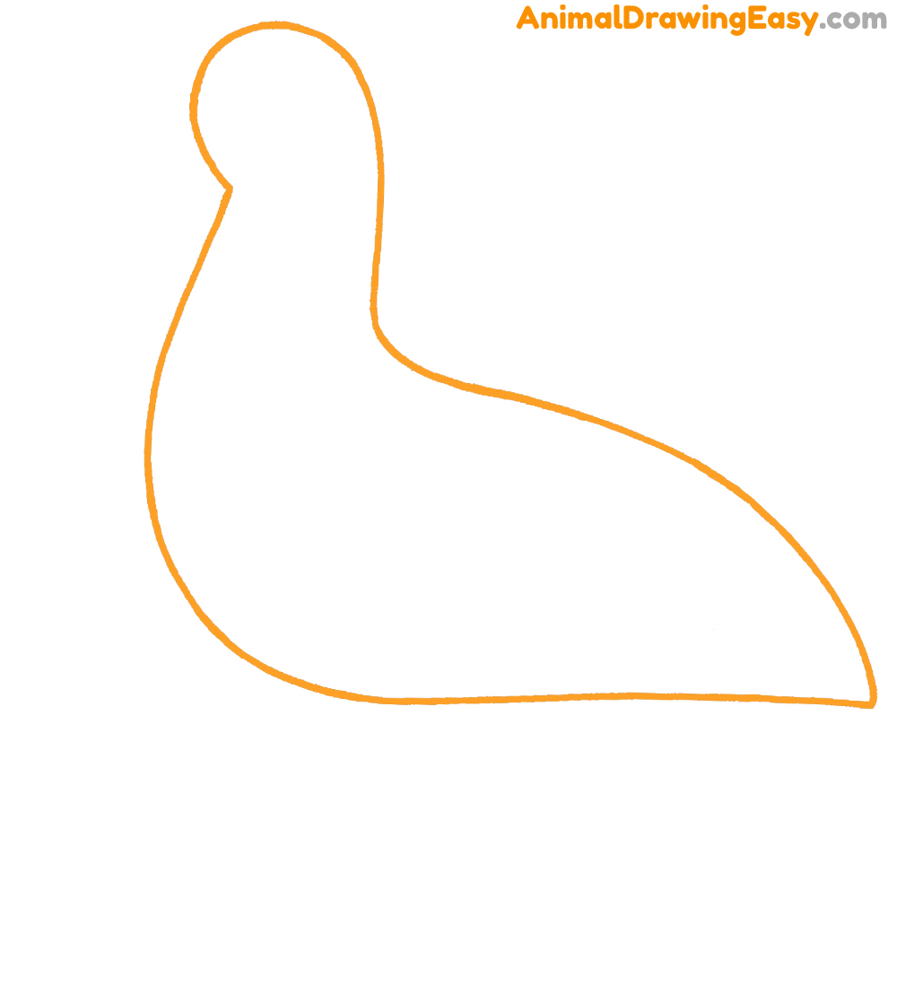 How to Sketch an Easy Albatross