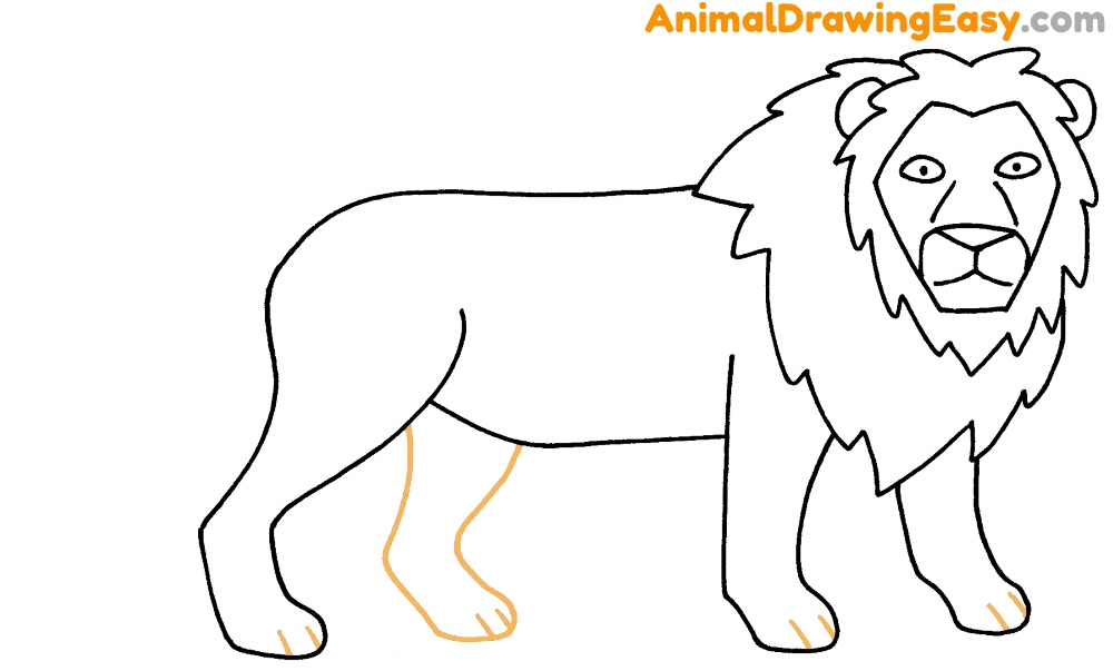 Lion sketch, zoo and African jungle wild animal - Stock Illustration  [63126827] - PIXTA