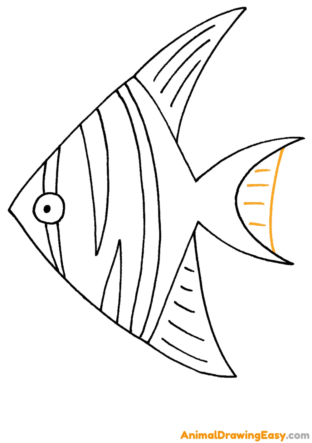 Angelfish Drawing Tutorial