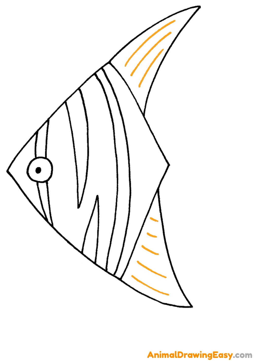 Angelfish Drawing for Beginners