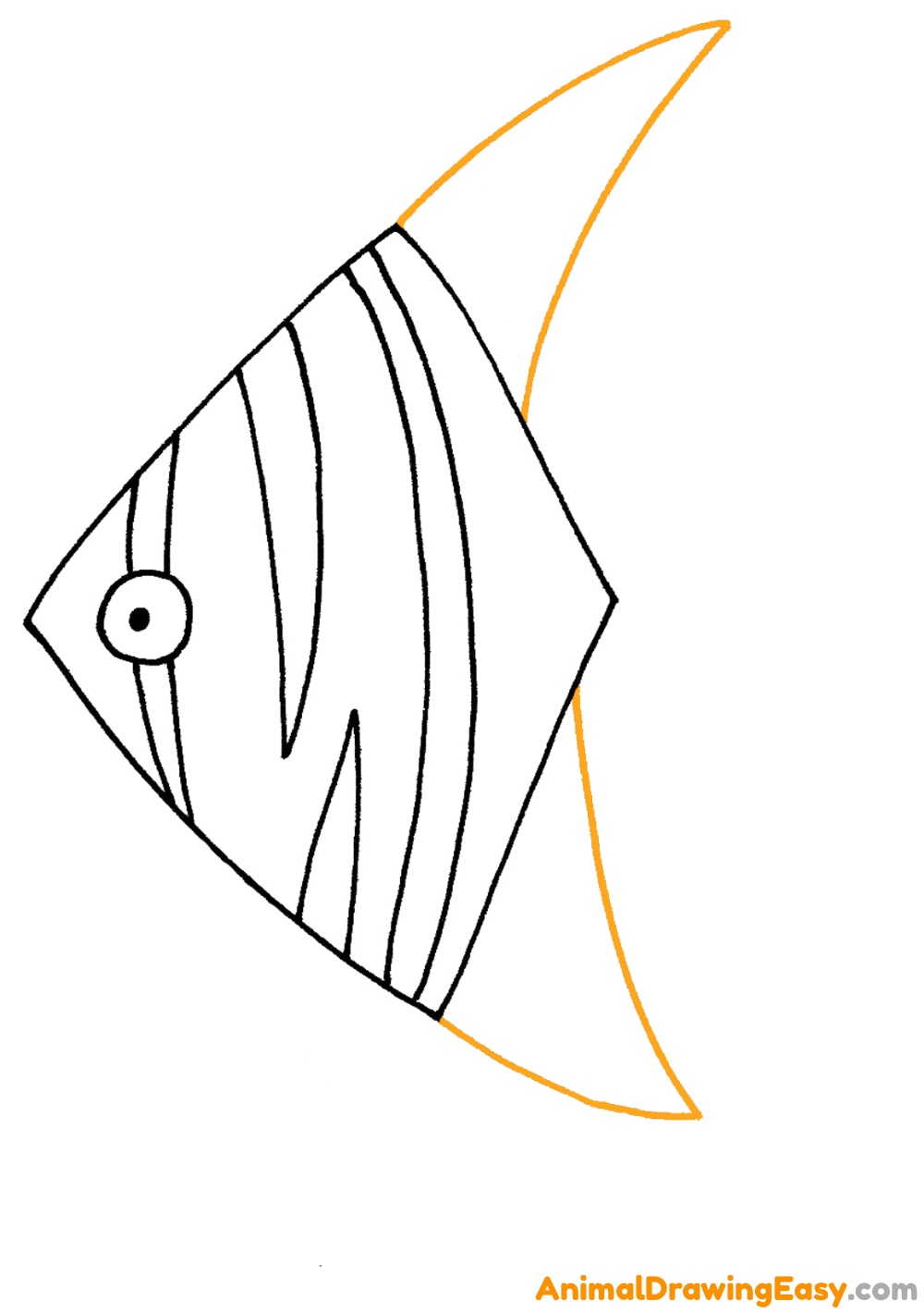 Angelfish Fin Drawing