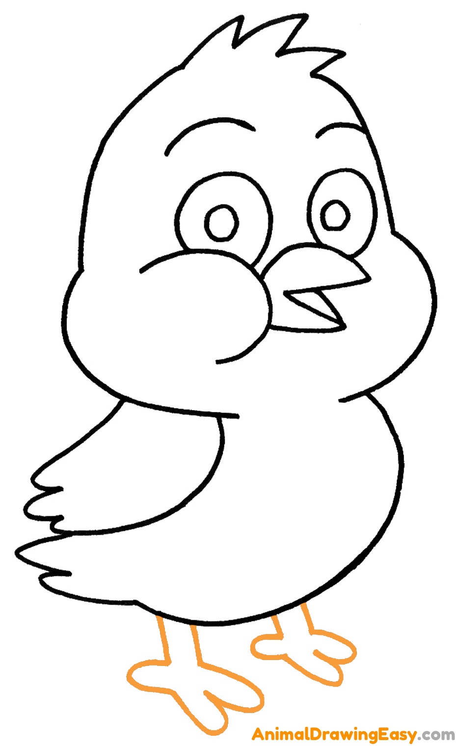 Baby Chick Drawing
