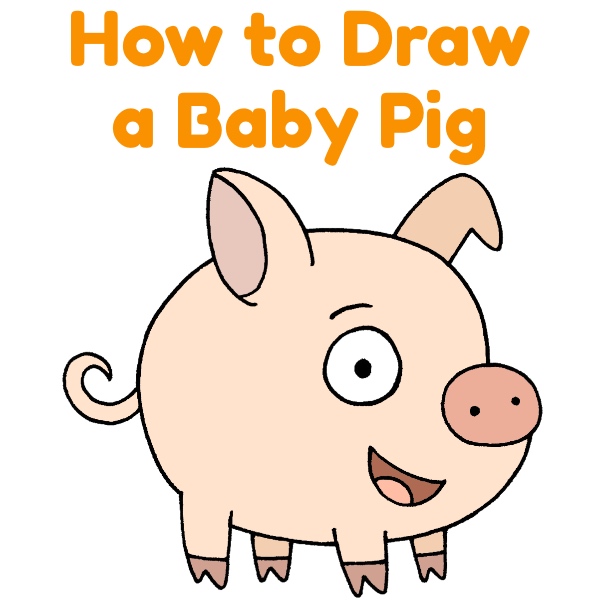 How to Draw a Baby Pig