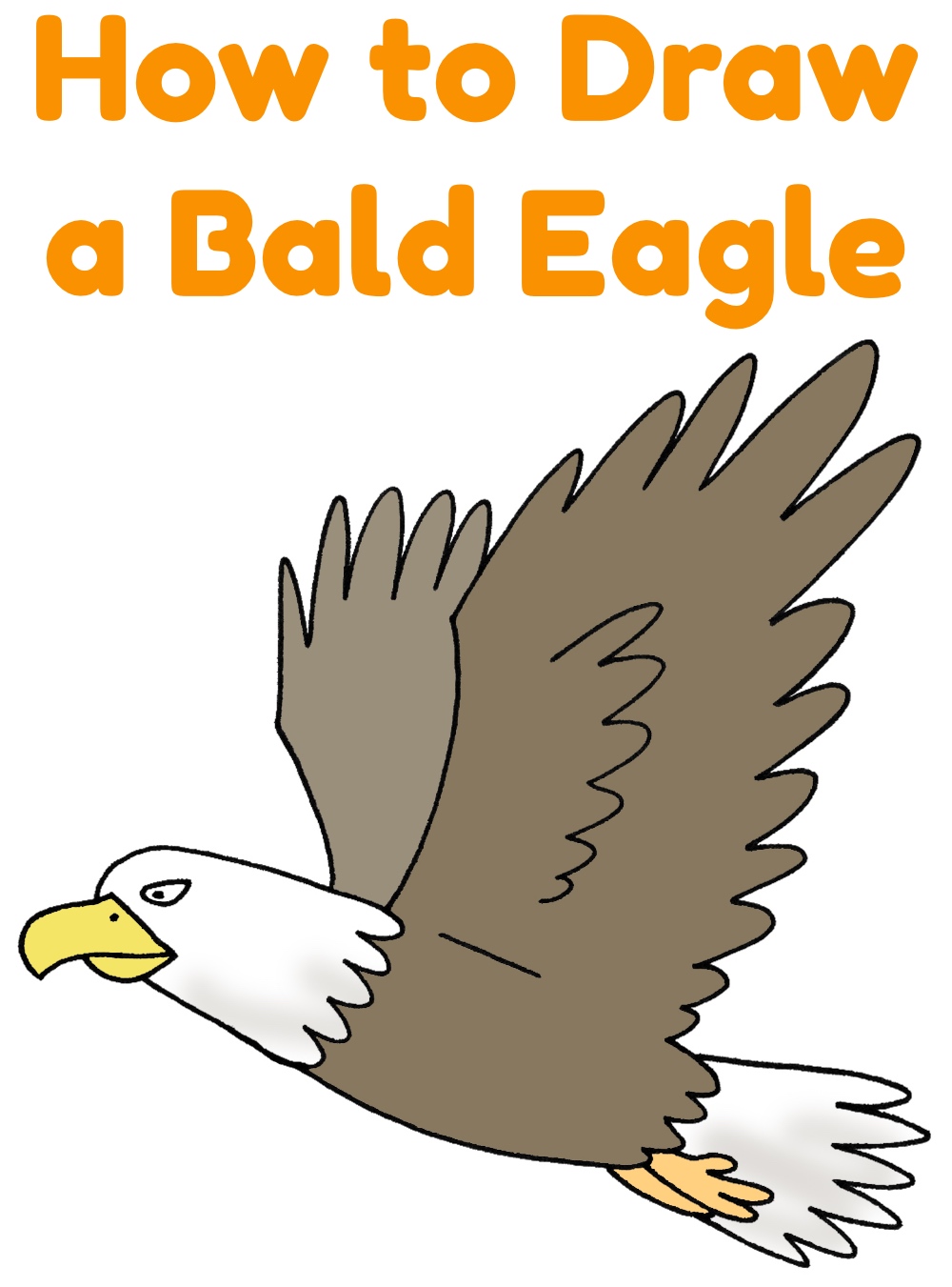 Bald Eagle Drawings