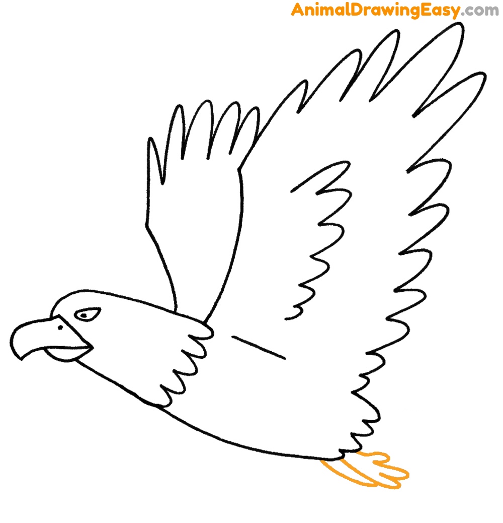 Bald Eagle Easy Drawing