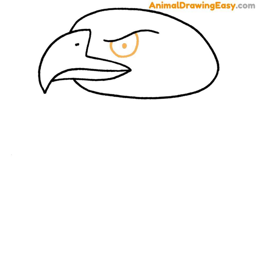 Bald Eagle Head Drawing