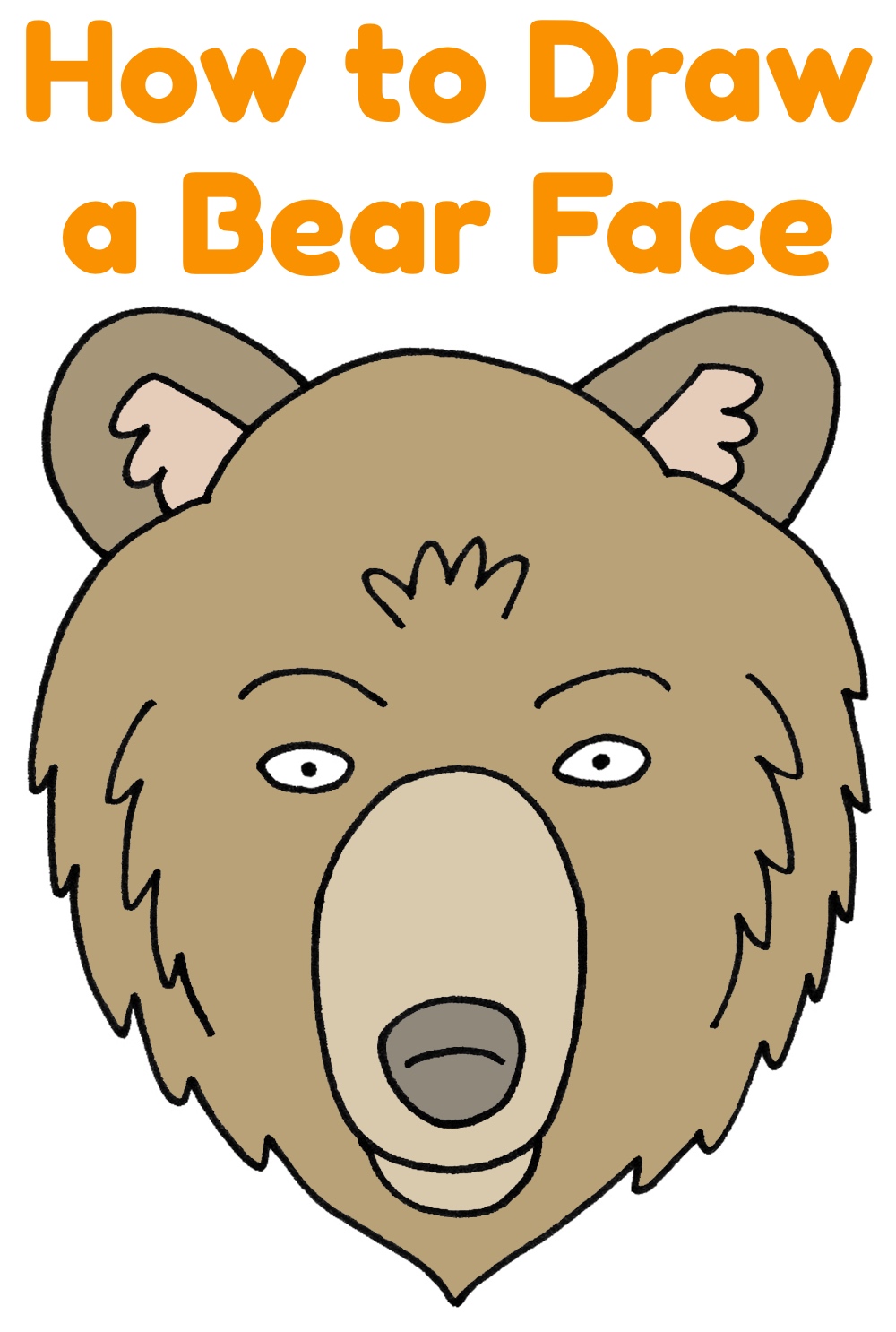 How to Draw a Bear Face