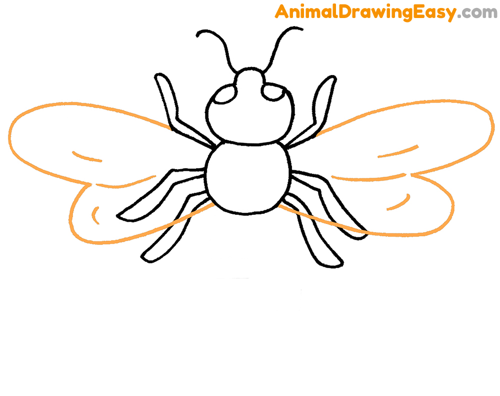 Bee How to Draw