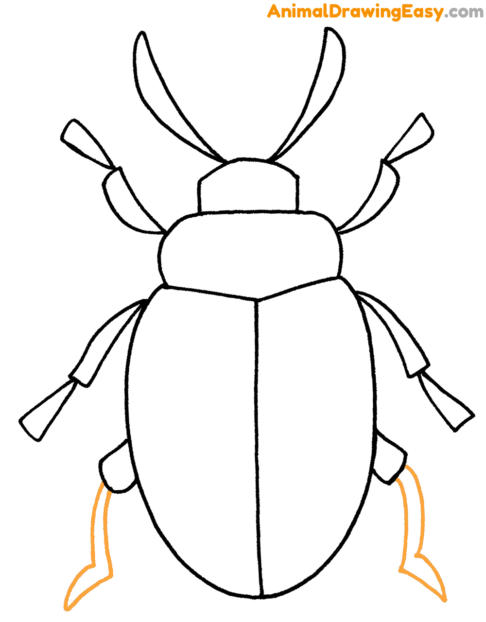 Draw a Beetle