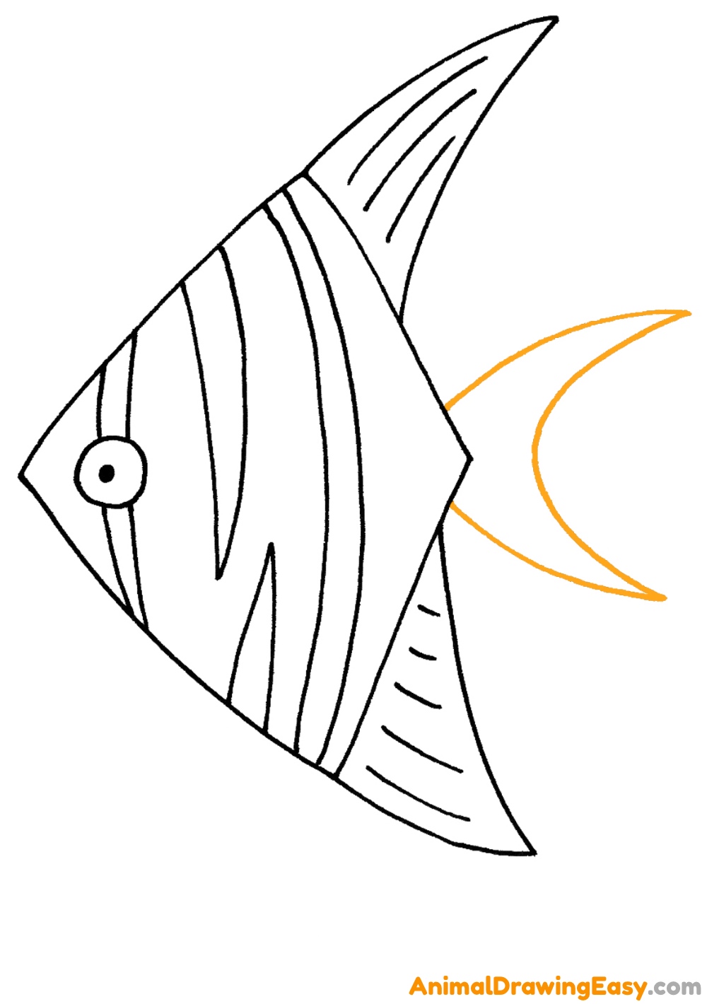 Drawing Angelfish Easy