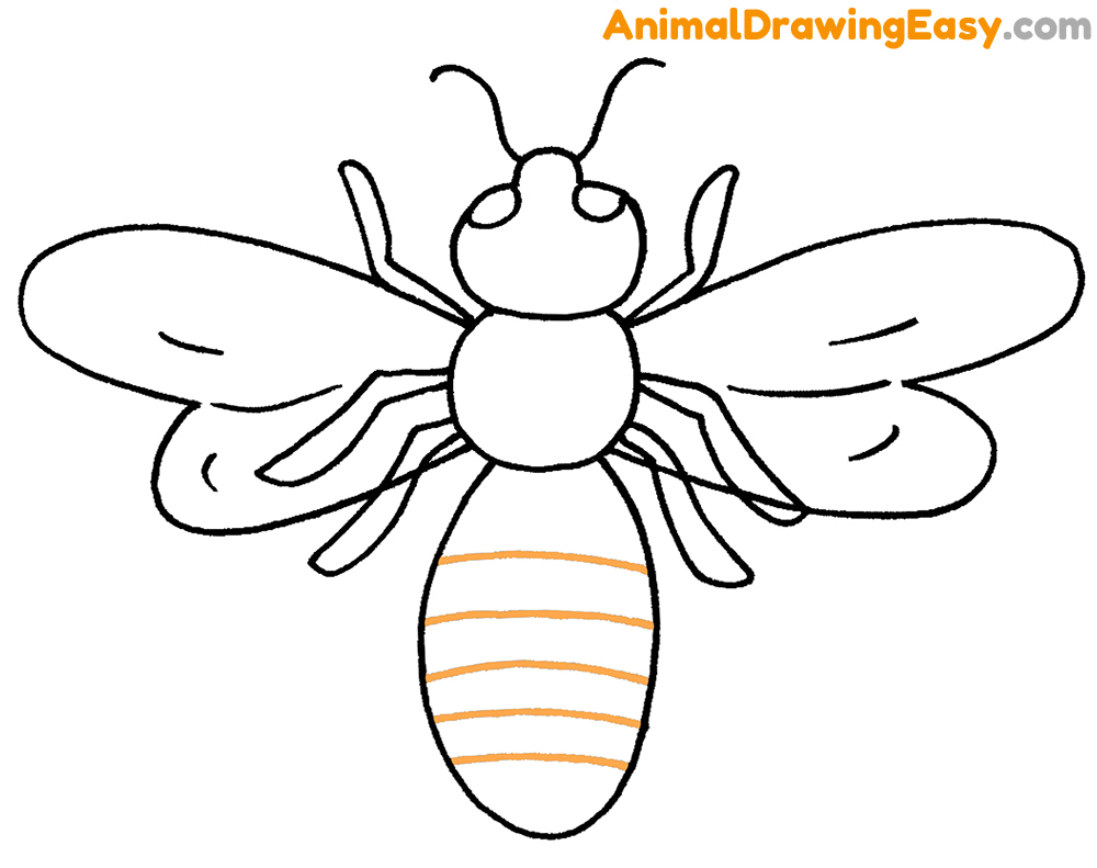 Drawing Bee