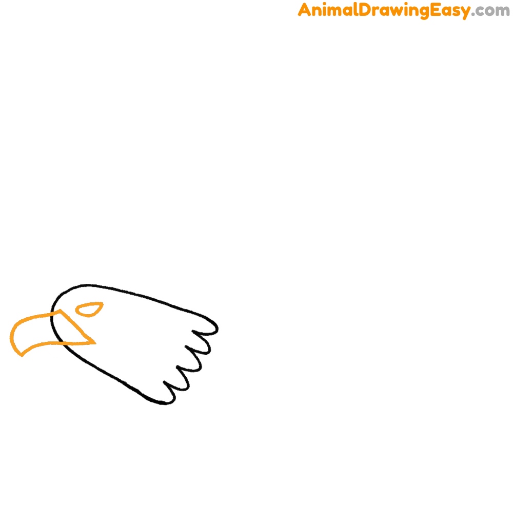 Easy Drawing Bald Eagle