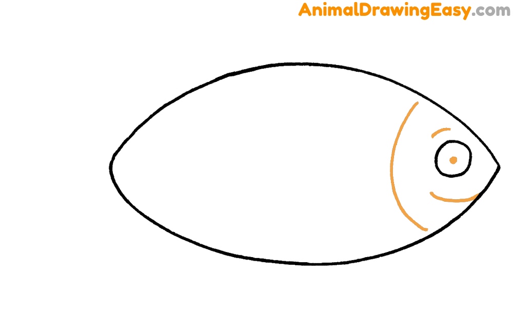 Fish Drawing Guide