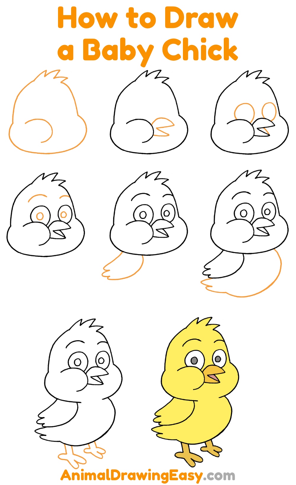 How to Draw a Baby Chick Step by Step