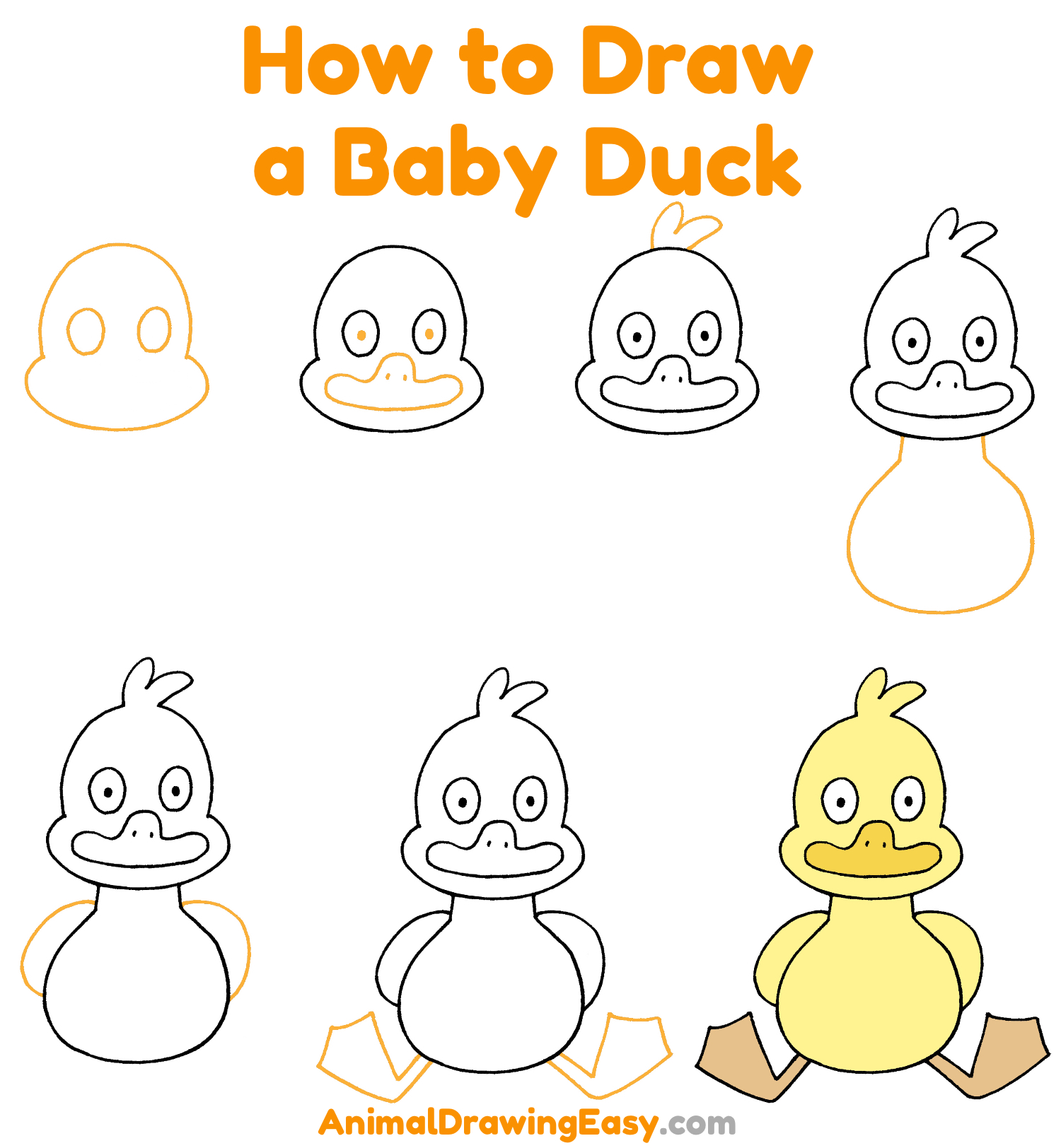 How to Draw a Baby Duck - Animaldrawingeasy.com