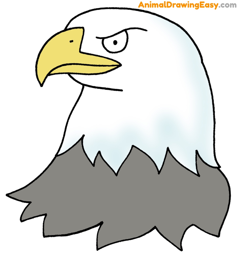 How to Draw a Bald Eagle Head Easy