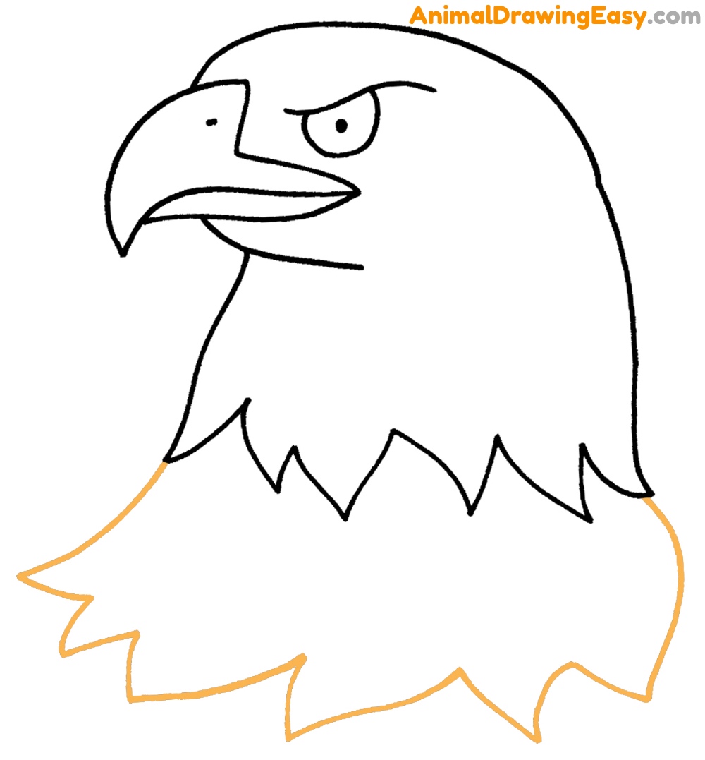 How to Draw a Bald Eagle Head Simple