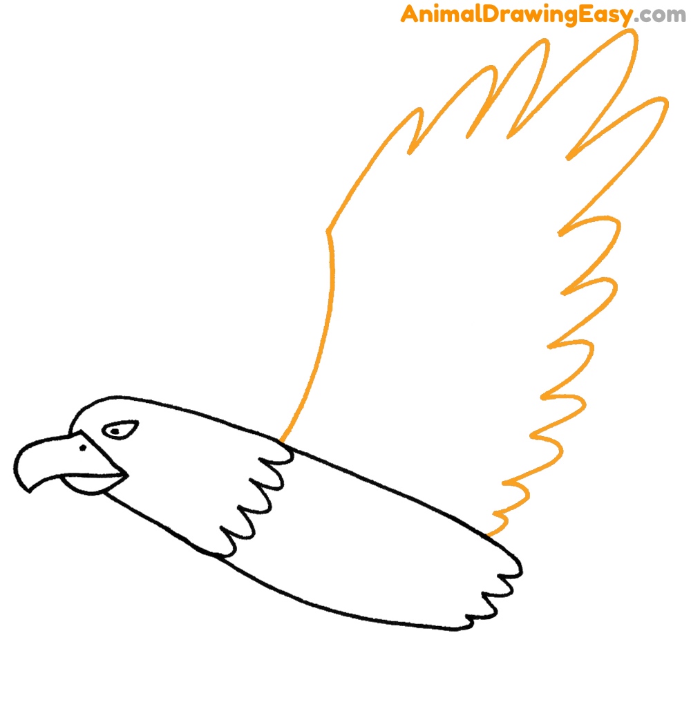 How to Draw a Bald Eagle Simple