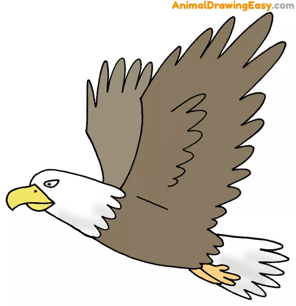 How to Draw a Bald Eagle