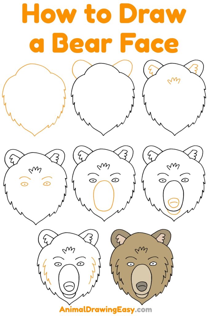 How to Draw a Bear Face