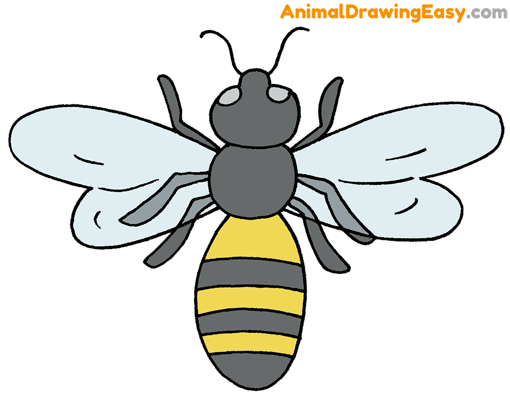 How to Draw a Bee Easy