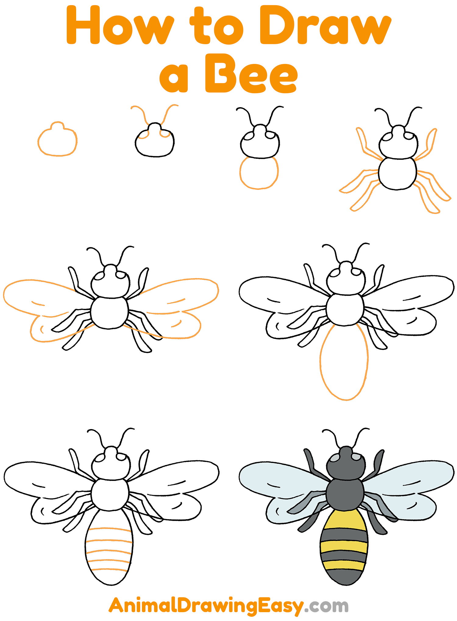 How to Draw a Bee Step by Step