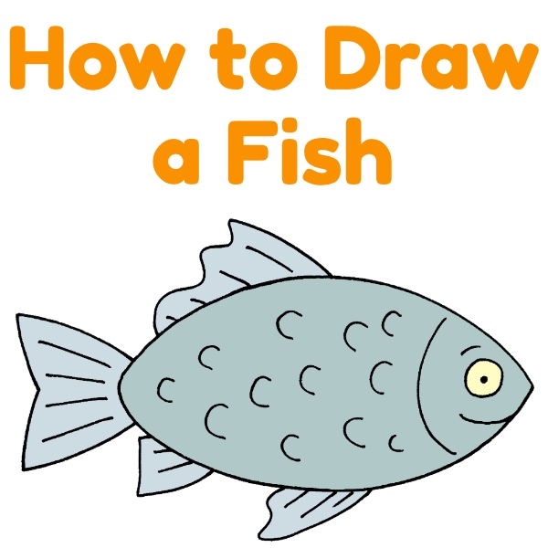 How to Draw a Fish - Animaldrawingeasy.com