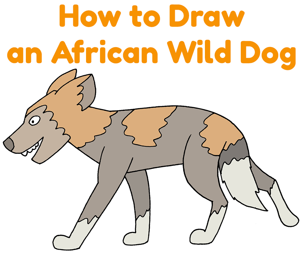 How to Draw an African Wild Dog