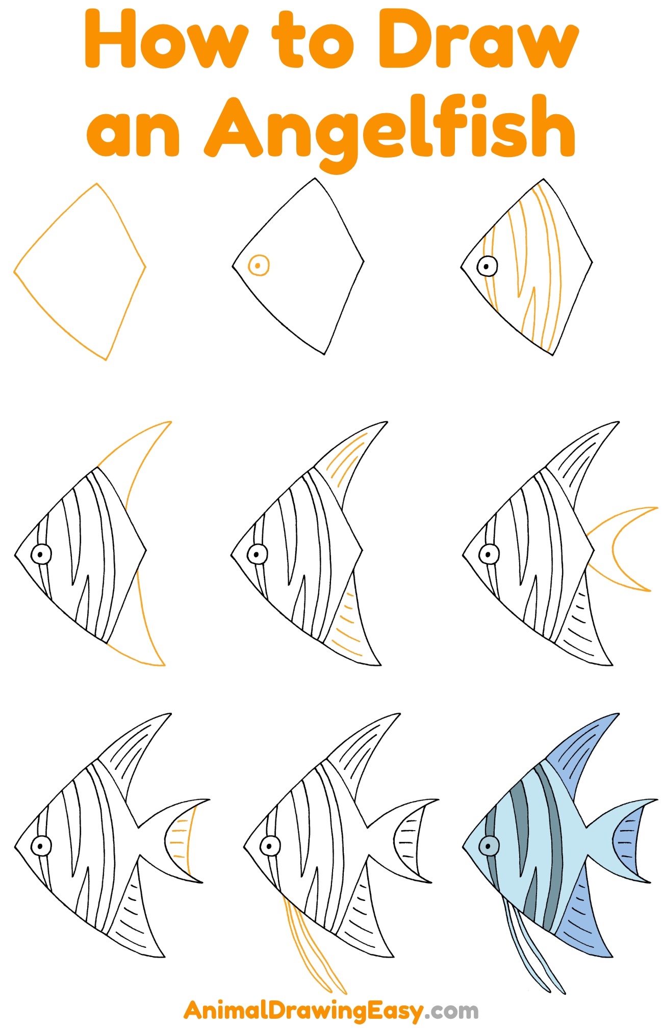How to Draw an Angelfish Step by Step