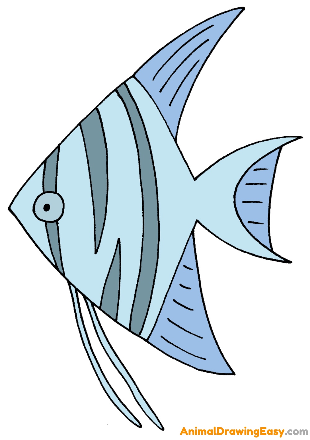 How to Draw an Angelfish