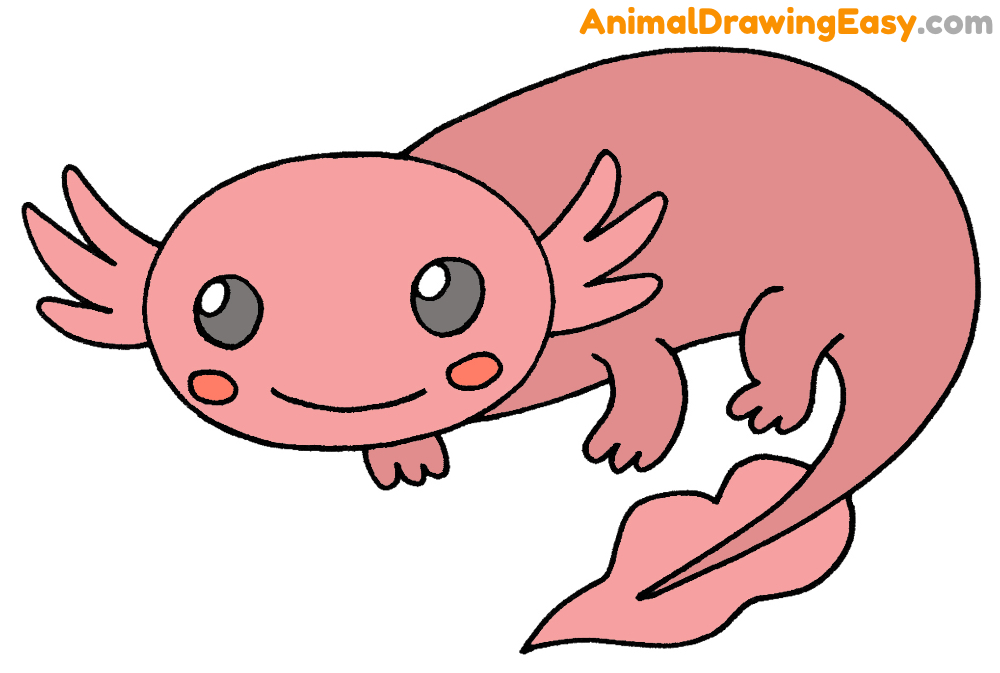 How to Draw an Axolotl