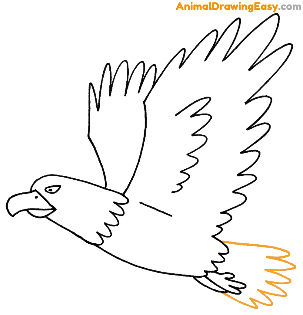 How to Draw an Easy Bald Eagle