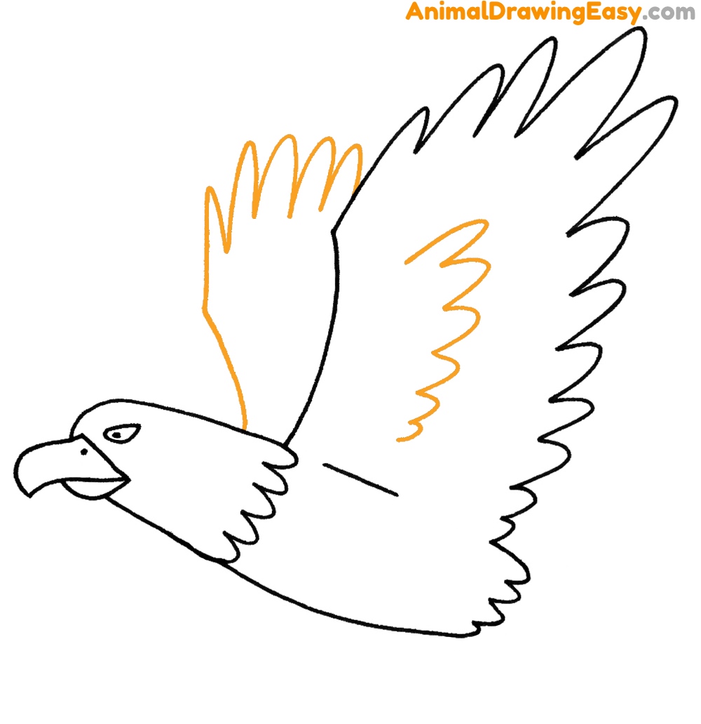 How to Sketch a Bald Eagle