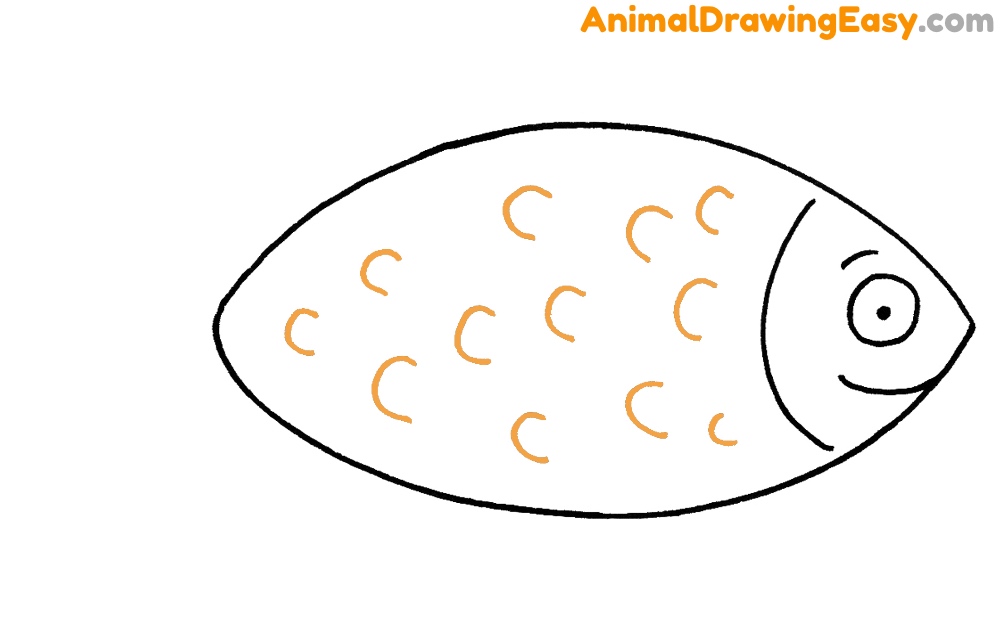 How to Sketch a Fish