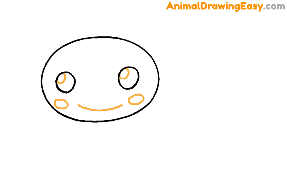 Step by Step Axolotl Drawing