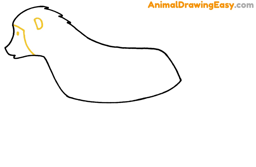 Baboon Drawing Tutorial