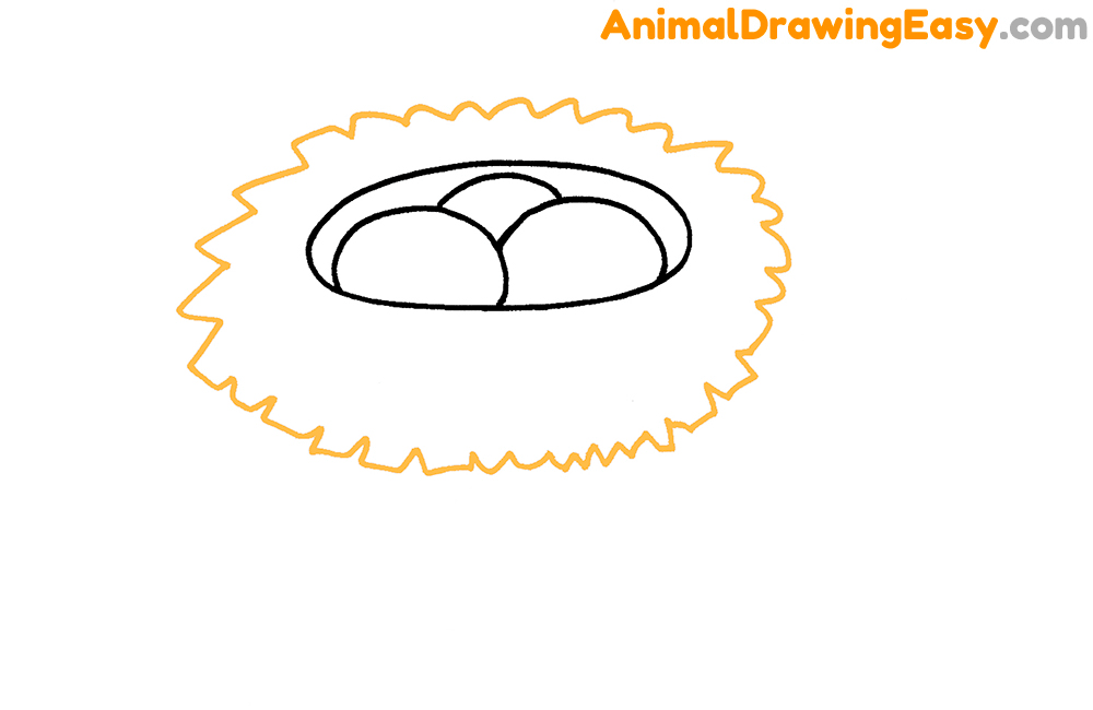 Bird Nest Drawing Lesson
