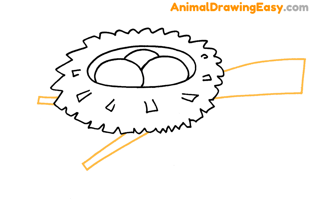 Bird Nest Drawing
