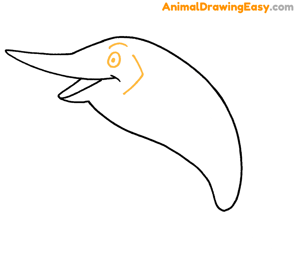 Blue Marlin Drawing Guide