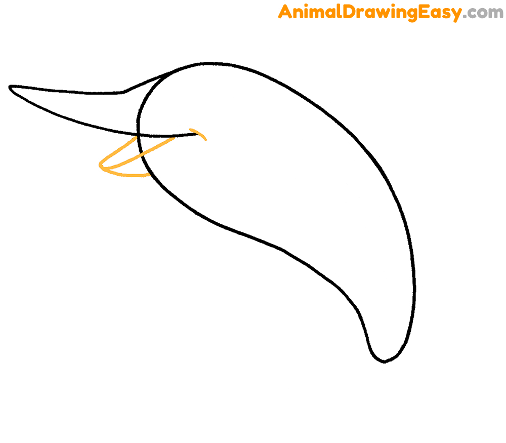 Blue Marlin Drawing Lesson